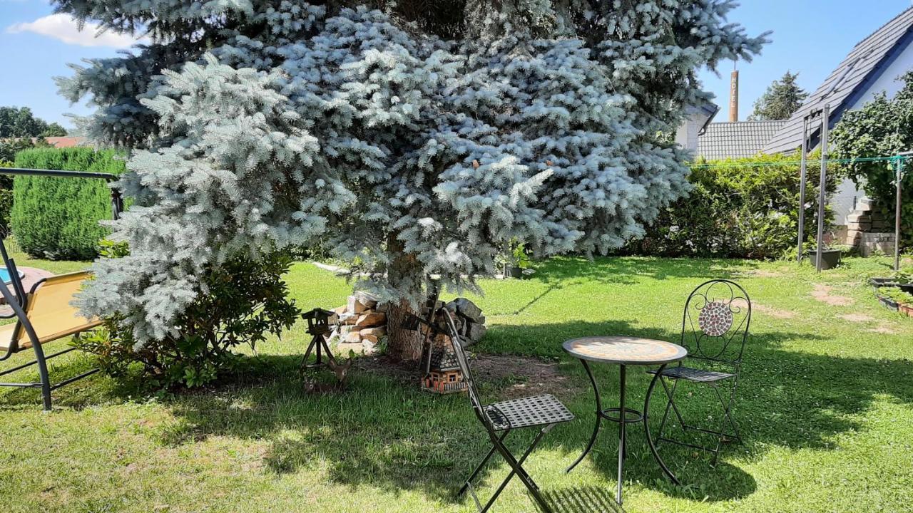 Ferienwohnung Koenig Niedergurig Bei Bautzen Malschwitz Exterior photo